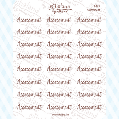 Assessment Script Planner Stickers (S339)
