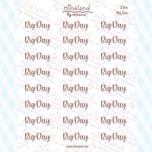 Big Day Script Planner Stickers (S344)