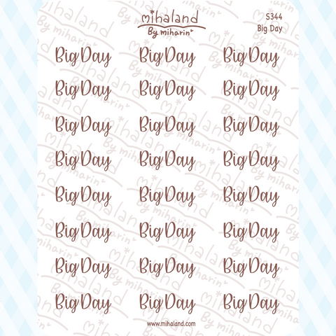 Big Day Script Planner Stickers (S344)